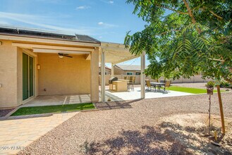 41769 W Canasta Ln in Maricopa, AZ - Building Photo - Building Photo