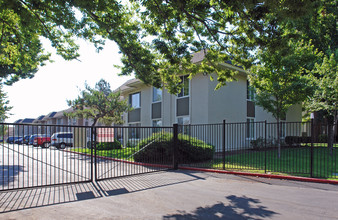 Willow Tree Apartments in Sacramento, CA - Building Photo - Building Photo