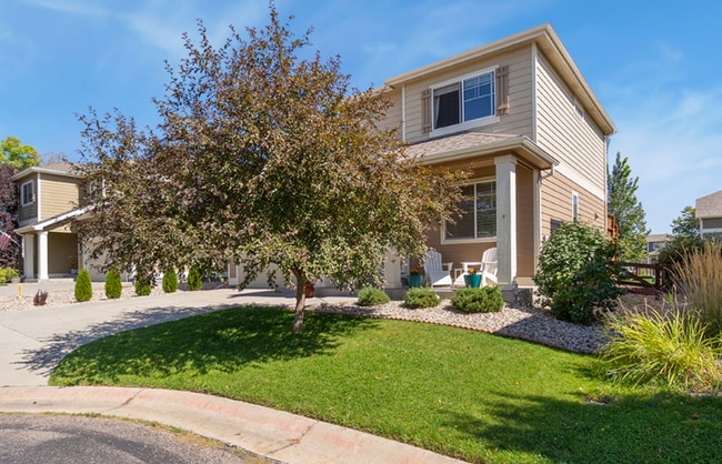 538 Walhalla Ct in Fort Collins, CO - Foto de edificio - Building Photo