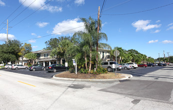 Palm Grove Apartments in Tampa, FL - Building Photo - Building Photo