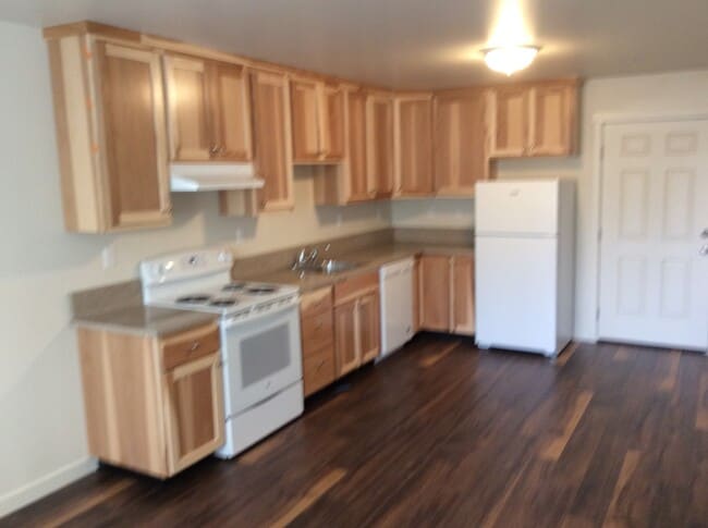 909 W 4th Ave, Unit #104