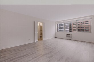 253 E Delaware Pl, Unit 12H in Chicago, IL - Building Photo - Building Photo