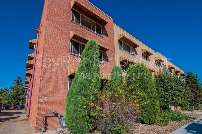 733 E 2nd Ave in Denver, CO - Building Photo - Building Photo