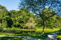 Apartamentos en Manhasset, NY