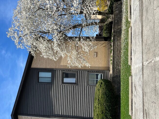 6165 Knoll Wood Ct photo'