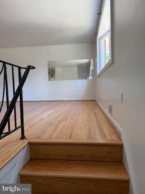 property at 11307 Trafalgar Ct