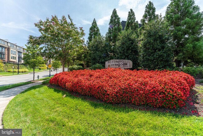 602 Overlook Park Dr in Oxon Hill, MD - Foto de edificio - Building Photo