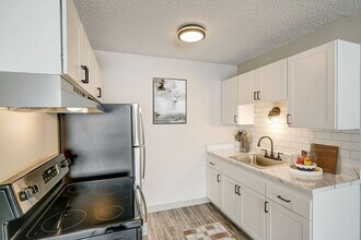 Lelaray Apartments in Colorado Springs, CO - Building Photo - Building Photo