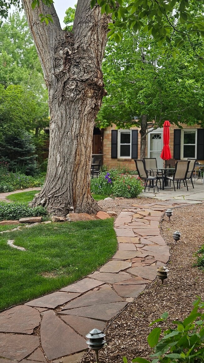 2238 Newton St in Denver, CO - Foto de edificio - Building Photo