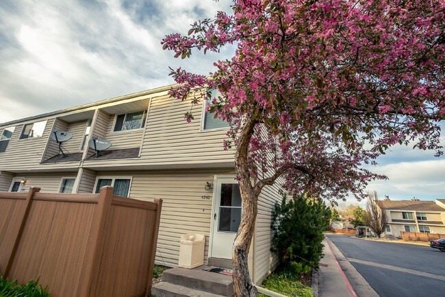 property at 4240 E Maplewood Way