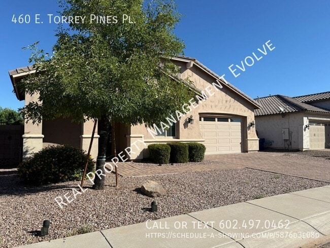 460 E Torrey Pines Pl in Chandler, AZ - Building Photo - Building Photo