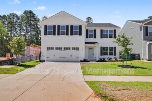10051 Florentine Wy in Charlotte, NC - Building Photo