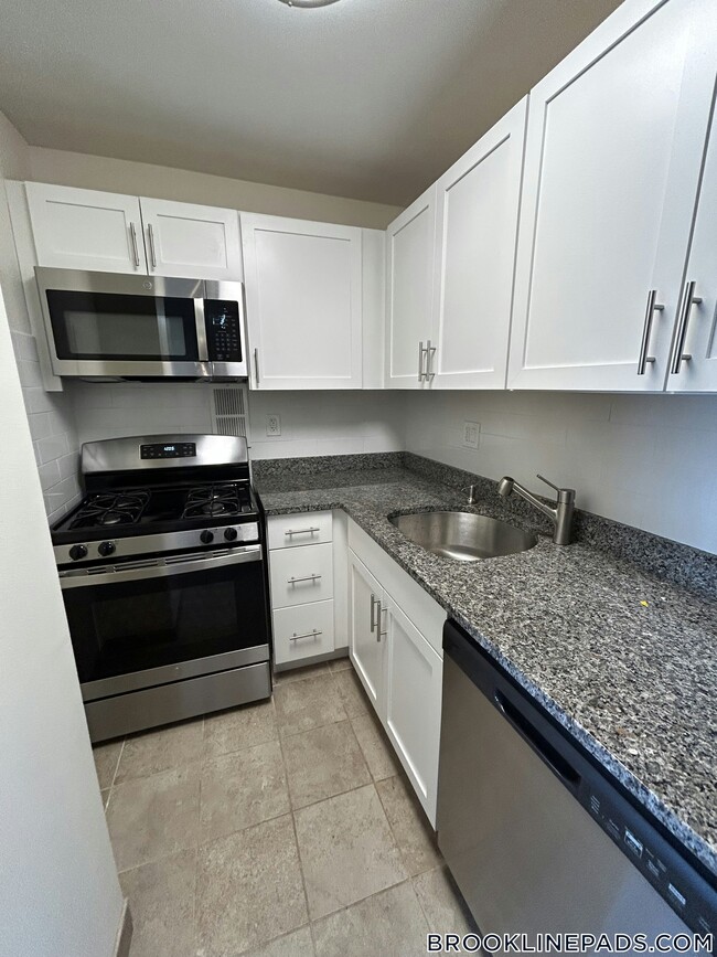 185 Freeman St in Brookline, MA - Building Photo - Building Photo