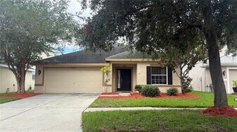 20050 Nob Oak Ave in Tampa, FL - Building Photo