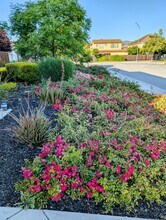 16650 San Gabriel Ct in Morgan Hill, CA - Building Photo - Building Photo