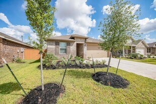 27122 River Birch Ridge Dr in Katy, TX - Building Photo