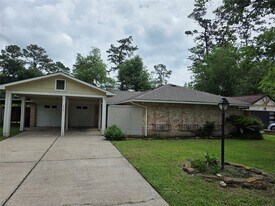 3414 Bristlecone Trail in Spring, TX - Building Photo