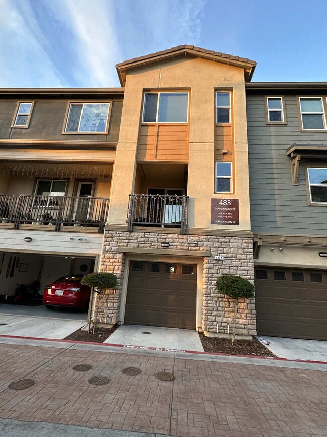 487 Snap Dragon in Milpitas, CA - Foto de edificio - Building Photo