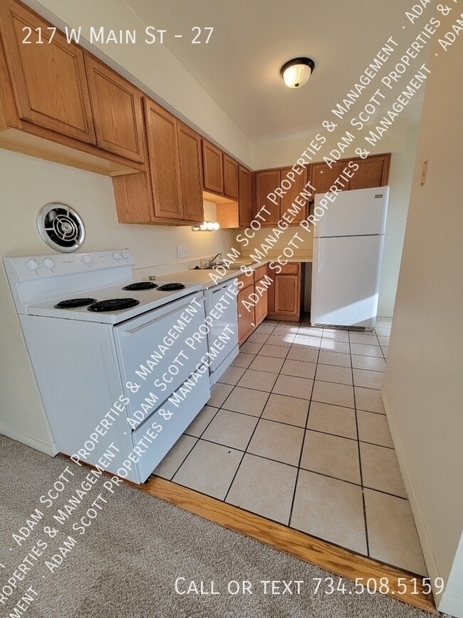 217 W Main St in Milan, MI - Building Photo - Building Photo