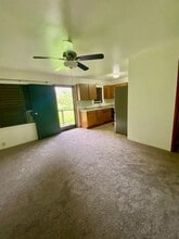 1111 Puuopae Rd in Kapaa, HI - Building Photo - Building Photo