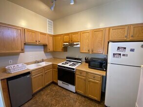 915 S Loomis St, Unit 2 in Chicago, IL - Building Photo - Building Photo