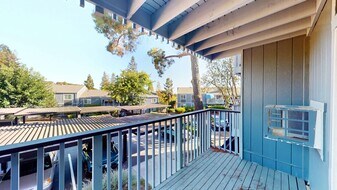 551 Alameda del Prado in Novato, CA - Building Photo