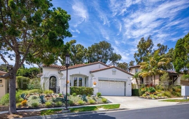 1042 Alexandra Ln in Encinitas, CA - Building Photo - Building Photo