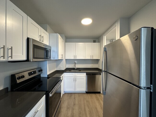 1349 N Dearborn St in Chicago, IL - Foto de edificio - Building Photo