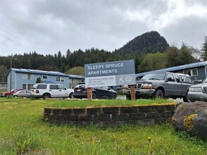 1050 Salmon Creek Ln in Juneau, AK - Building Photo - Building Photo