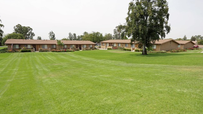 The Terrace Apartments in Rancho Cucamonga, CA - Foto de edificio - Building Photo