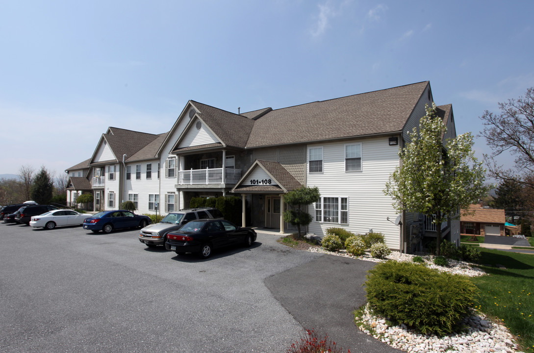 Grecian Terrace Village Apartments in Sinking Spring, PA - Building Photo