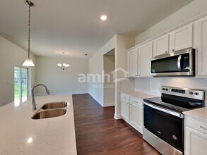 20300 Calla Lily Dr in Land O Lakes, FL - Building Photo - Building Photo