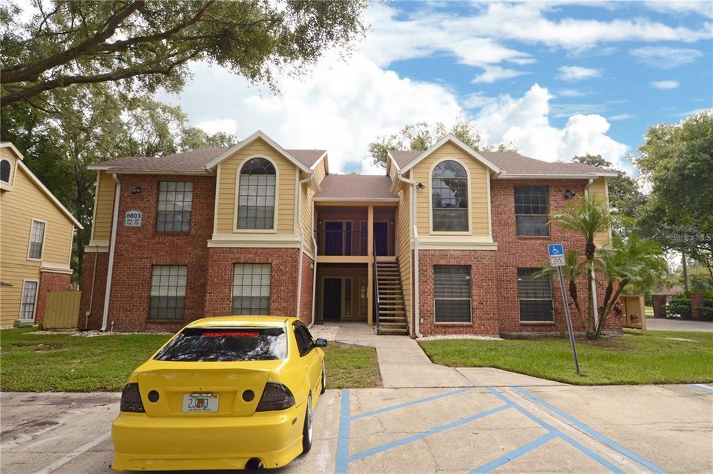 8603 Fancy Finch Dr in Tampa, FL - Building Photo