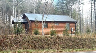 1135 Sandy Gap Rd in Murphy, NC - Building Photo