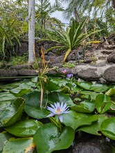 75-228-228 Aloha Kona Dr in Kailua Kona, HI - Foto de edificio - Building Photo