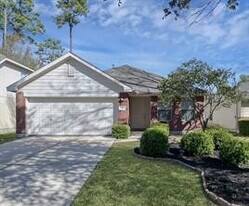 50 Thicket Grove Pl in Conroe, TX - Building Photo