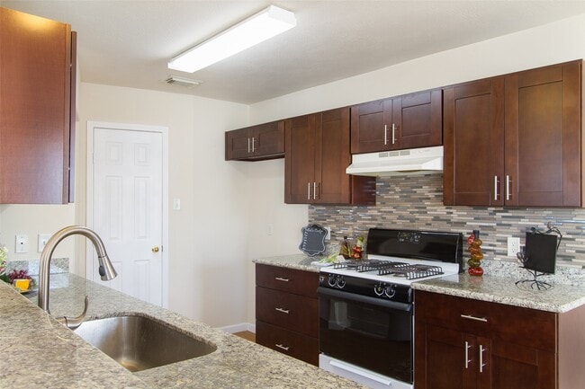 property at 14202 Ballfour Park Ln