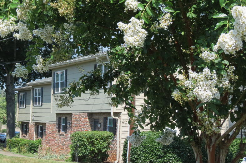 Deane Hill Apartments in Knoxville, TN - Building Photo