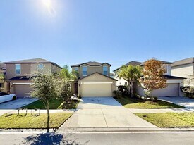 7409 French Marigold Ave. in Tampa, FL - Building Photo