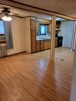 207 Washington St in Olivet, MI - Building Photo