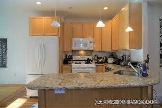 28 Healey St in Cambridge, MA - Foto de edificio - Building Photo