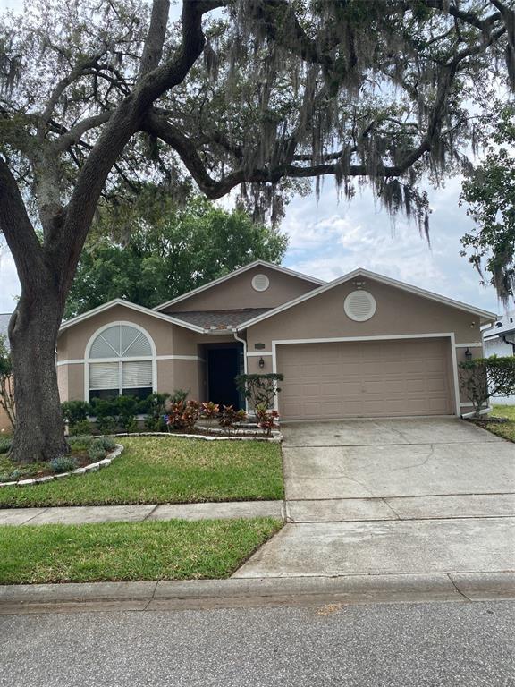 property at 4399 Weeping Willow Cir