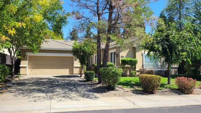 property at 3040 Big Bear Dr