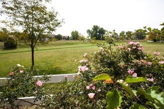 2362 Calcite St in Loveland, CO - Building Photo - Building Photo