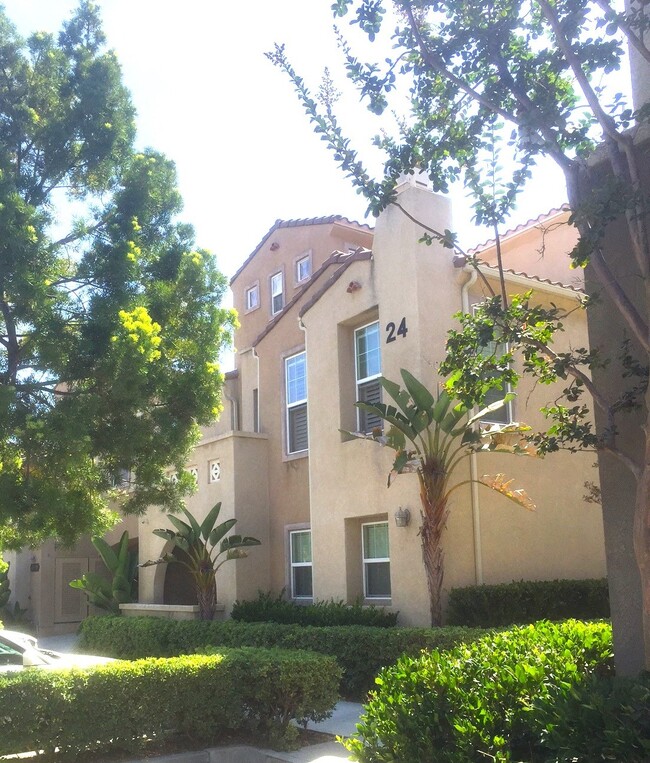 801 Almond Rd in San Marcos, CA - Foto de edificio - Building Photo