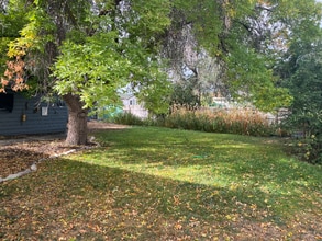 345 Buchanan St in Twin Falls, ID - Building Photo - Building Photo