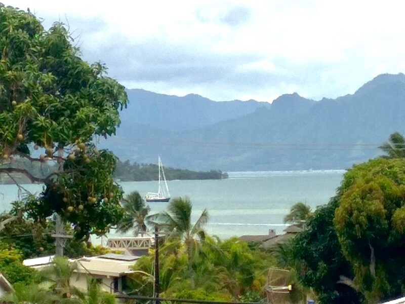 44-96 Keaalau Pl in Kaneohe, HI - Building Photo