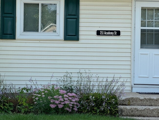 211 Academy St in Fox Lake, WI - Foto de edificio - Building Photo