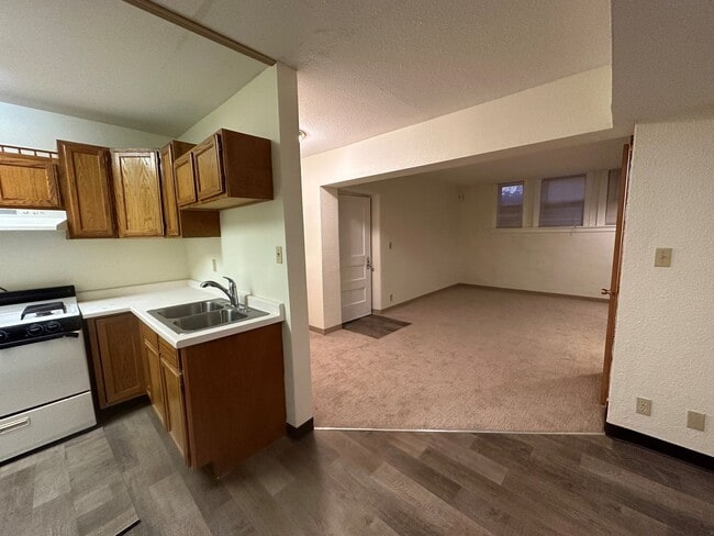 4233 Nicollet Ave S in Minneapolis, MN - Building Photo - Building Photo