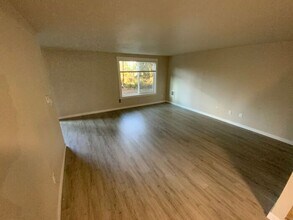 2033 Porta Ct NW in Olympia, WA - Building Photo - Building Photo